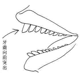 第二章 刑克相 - 金之钗 - 金之钗博客